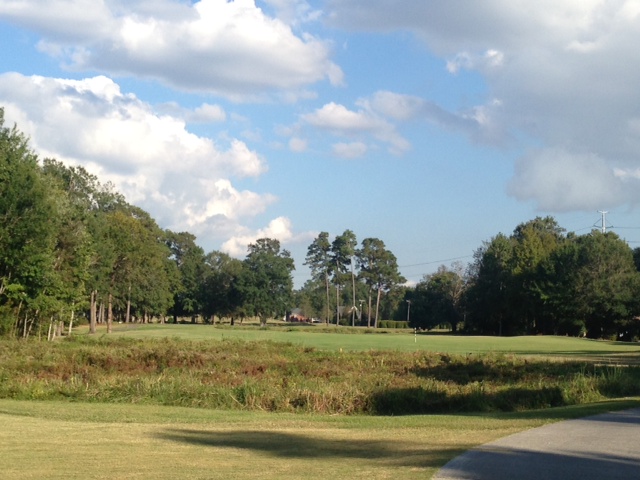 Golf course homes for sale in Charleston, SC, Mount Pleasant, James Island, West Ashley and Daniel Island
